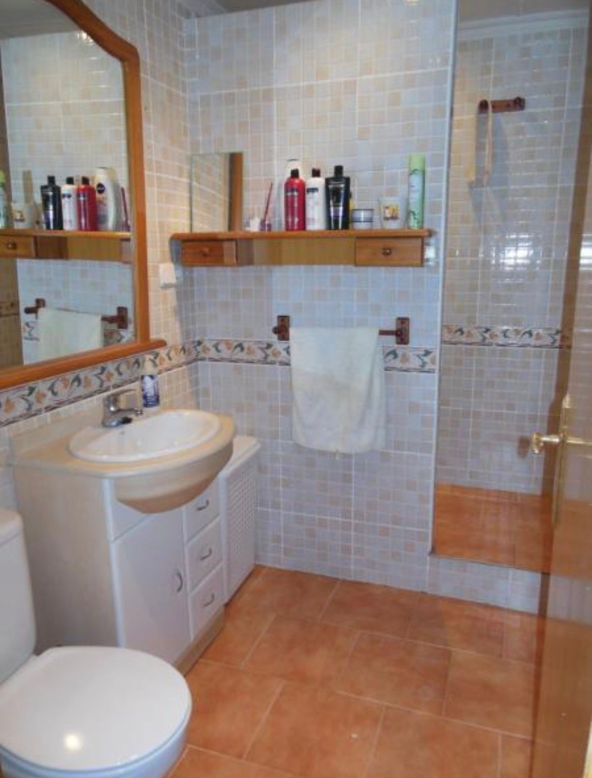 Cuarto de baño completo con ducha